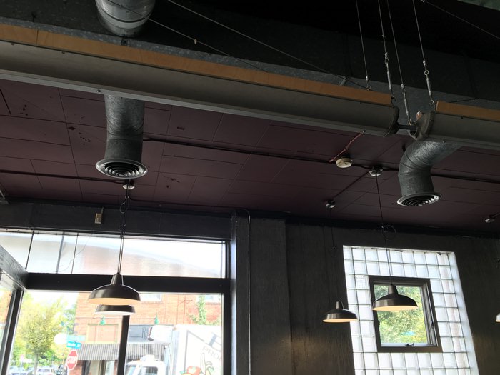 Full Window Wall And Ceiling