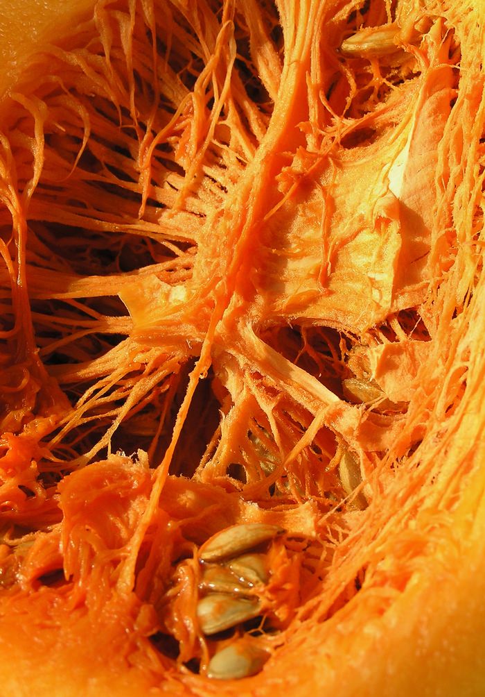 Pumpkin Guts