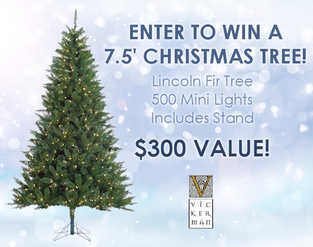 Win a Christmas Tree!