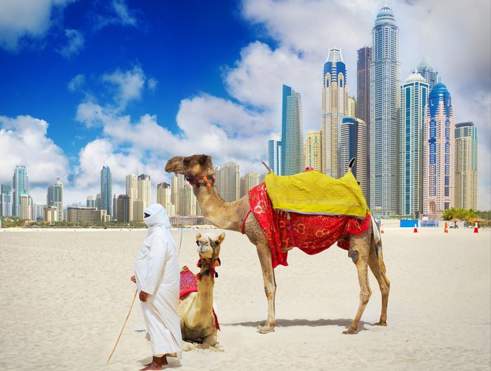 Dubai Skyline and Camel