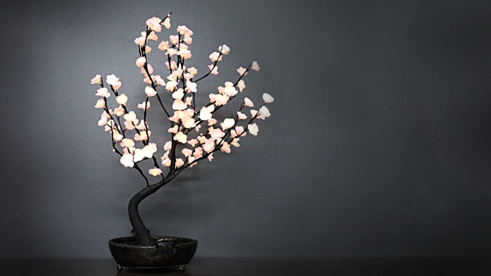 Lighted Bonsai Tree