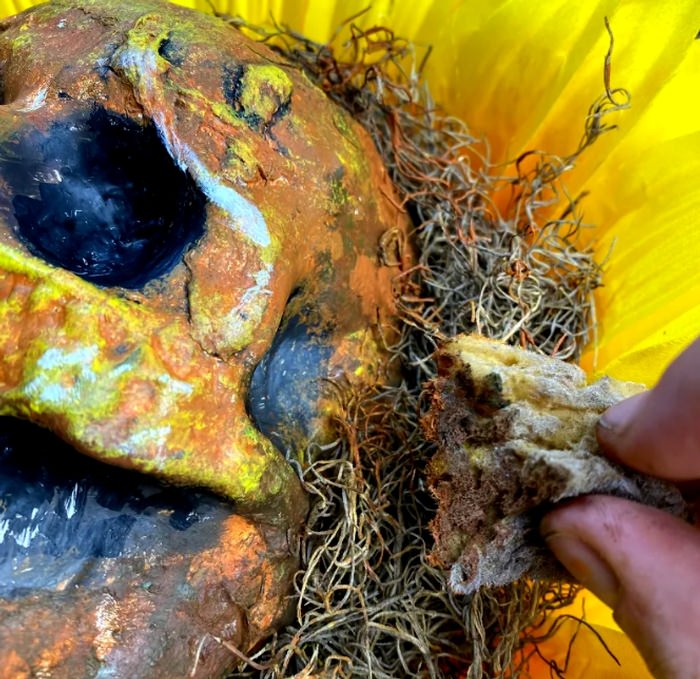 Painting the Skull