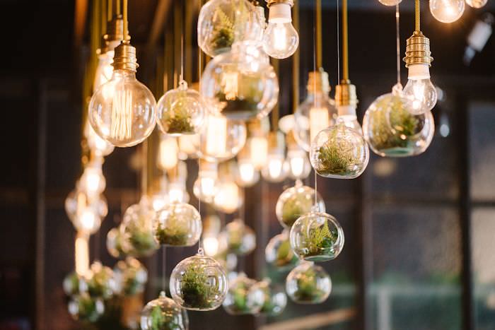 Hanging terrarium