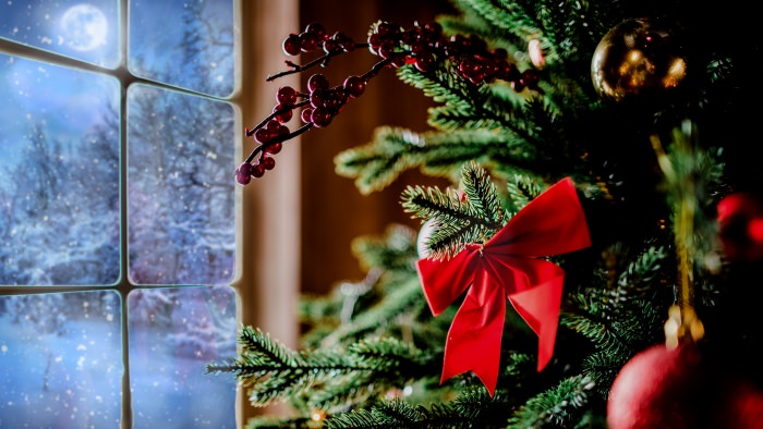 Christmas Tree by the Window