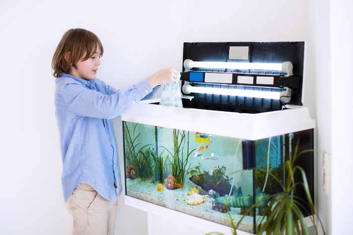 Boy adjusting tank