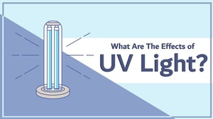 What Are The Effects of UV Light