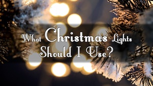 What Christmas Lights Should I Use?