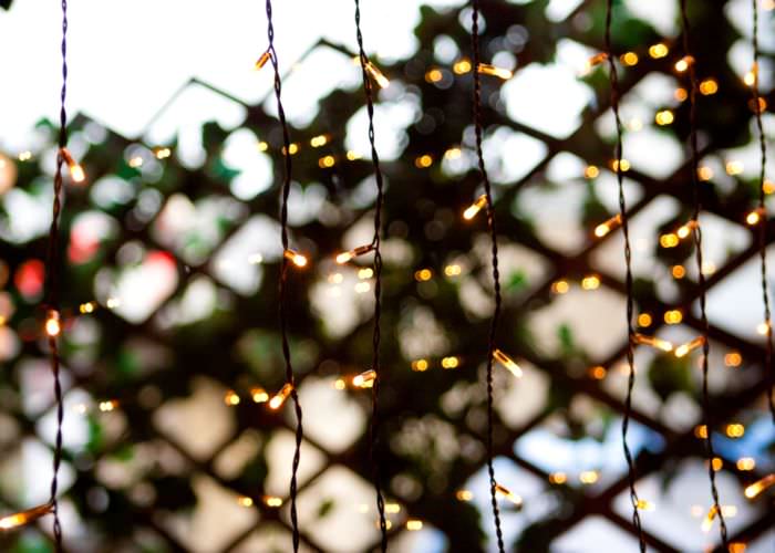 what-christmas-lights-should-i-use