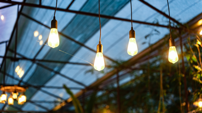 Hanging Warm White Light Bulbs