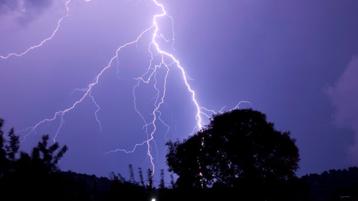 Lighting Striking Near Tree
