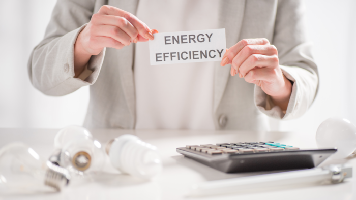 Woman holding Energy Efficiency Sign