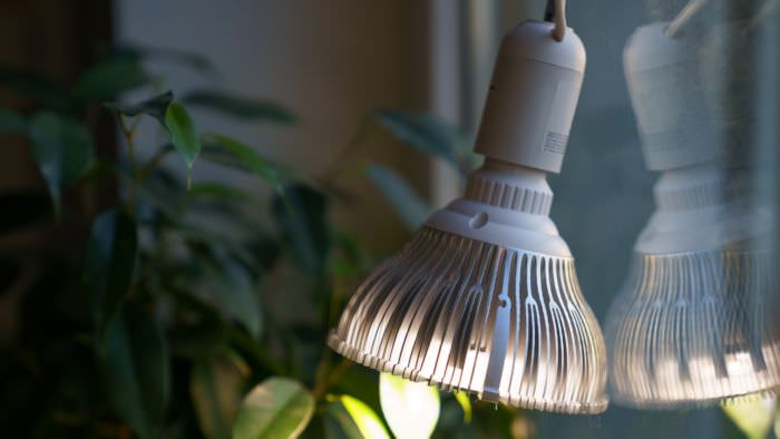 Light over potted plants