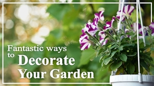 Fantastic Ways to Decorate Your Garden