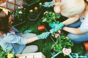 Make Your Garden Shine with Lawn Ornaments