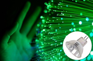 The Light Bulbs that Power Fibre Optic Trees and Flowers