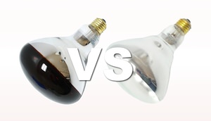 Red vs Clear Heat Lamp Light Bulbs