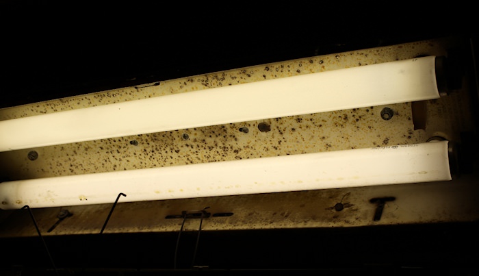 Bottom bulb has been burning since 1974!