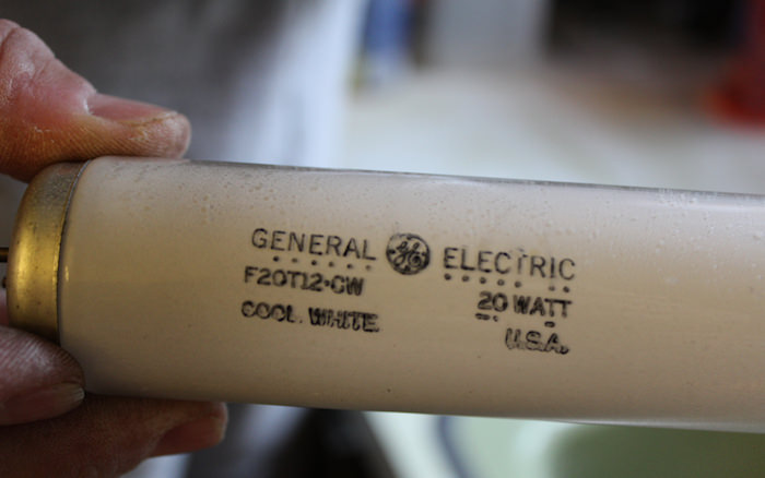 GE sure makes long lasting bulbs