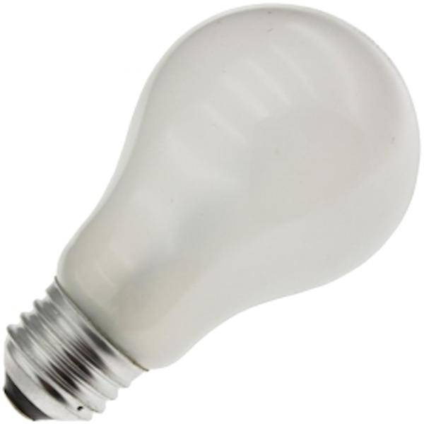 43 watt 120 volt A19 Medium Screw Base Halogen Incandescent Light Bulb
