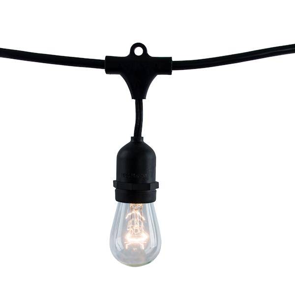11 watt 10 Light 14' Black (Medium Screw Base) 2700K Light String with 10 S14 Bulbs