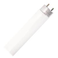 Damar 18 watt 30" T8 Bi-Pin Base 4100K Cool White