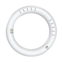 Eiko 8" 11 watt 120/277 volt T9 4-Pin Base CCT Selectable LED Light Bulb