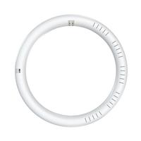 Eiko 12" 16 watt 120/277 volt T9 4-Pin Base CCT Selectable LED Light Bulb