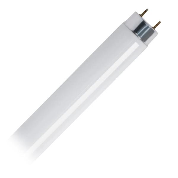 2' 18 watt T8 Medium Bi-Pin Base 4100K Cool White Fluorescent Light Bulb