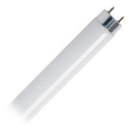 Feit Electric 2' 18 watt T8 Medium Bi-Pin Base 4100K Cool White Fluorescent Light Bulb