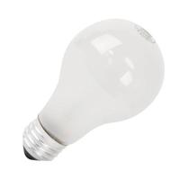 Feit Electric 40 watt 130 volt A19 Medium Screw Base 2600K Warm White Incandescent Light Bulb