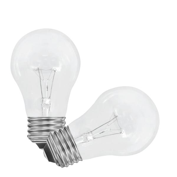 120 volt 40 watt A15 Medium Screw Base 2700K Warm White Incandescent Light Bulb (2 Pack)
