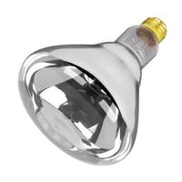 Feit Electric 250 watt 120 volt R40 Medium Screw Base 2400K Warm White Incandescent Heat Lamp