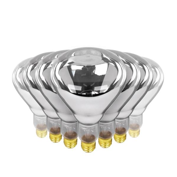 250 watt 120 volt R40 Medium Screw (E26) Base 2400K Warm White Incandescent Heat Lamp (24 Pack)