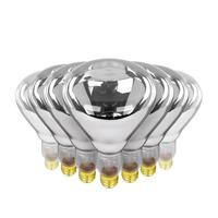 Feit Electric 250 watt 120 volt R40 Medium Screw (E26) Base 2400K Warm White Incandescent Heat Lamp (24 Pack)