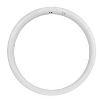 Feit Electric 16" 25 watt T9 4-Pin Base CCT Selectable LED Light Bulb