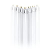 Feit Electric 12" 8 watt T5 Miniature Bi-Pin Base 6500 Daylight Fluorescent Light Bulb (24 Pack)