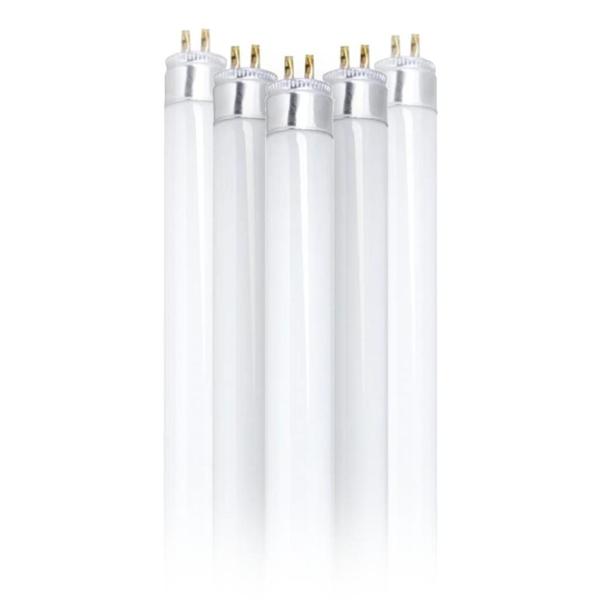 21" 13 watt T5 Miniature Bi-Pin Base 6500K Daylight Fluorescent Light Bulb (6 Pack)