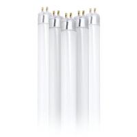 Feit Electric 21" 13 watt T5 Miniature Bi-Pin Base 6500K Daylight Fluorescent Light Bulb (6 Pack)