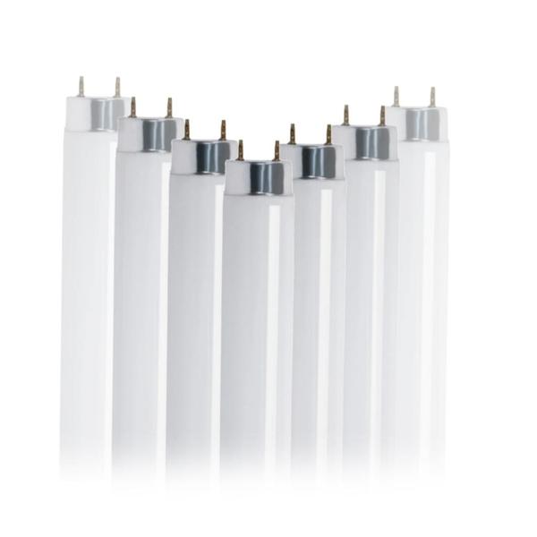 48" 32 watt T8 Medium Bi-Pin Base 4100K Cool White Fluorescent Light Bulb (10 Pack)