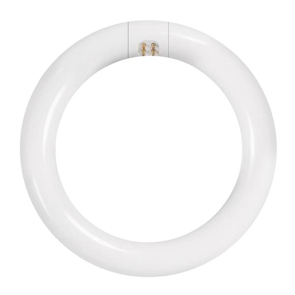 8" 15 watt T9 4-Pin Base 6500K Daylight LED Light Bulb