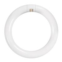 Feit Electric 8" 15 watt T9 4-Pin Base 6500K Daylight LED Light Bulb