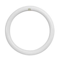 Feit Electric 12" 20 watt T9 4-Pin Base 6500K Daylight LED Light Bulb (12 Pack)