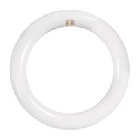 Feit Electric 8" 15 watt T9 4-Pin Base LED Light Bulb (12 Pack)