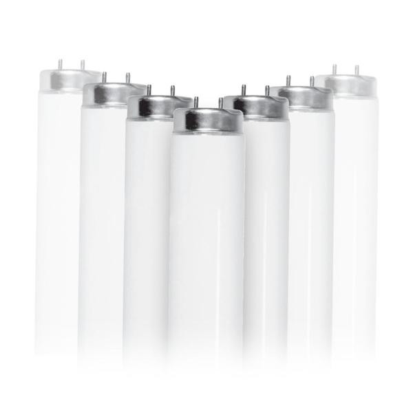 48" 32 watt T8 Medium Bi-Pin (G13) Base 6500K Daylight Fluorescent Light Bulb (10 Pack)