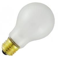 50 watt 230 volt A19 Medium Screw Base Frosted Incandescent Light Bulb