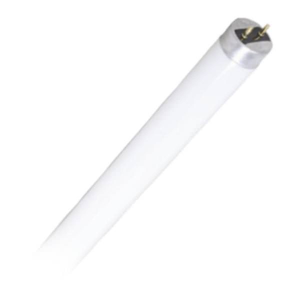 3' 11 watt 120/277 volt T8 Medium Bi-Pin Base 5000K Daylight LED Light Bulb