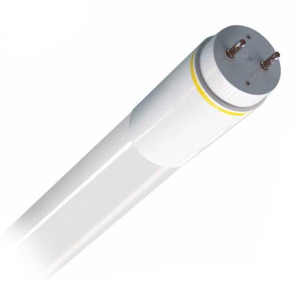 48" 12 watt 120/277 volt T8 Medium Bi-Pin Base - 5000K Daylight LED Light Bulb