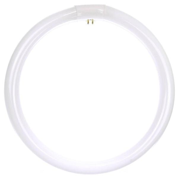 16" 40 watt T9 4-Pin Base 4100K Cool White Fluorescent Light Bulb