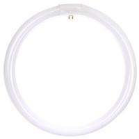 Keystone 16" 40 watt T9 4-Pin Base 4100K Cool White Fluorescent Light Bulb