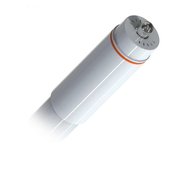 25 watt 120/277 volt 96" T8 Single Pin Base 4000K Cool White LED Light Bulb